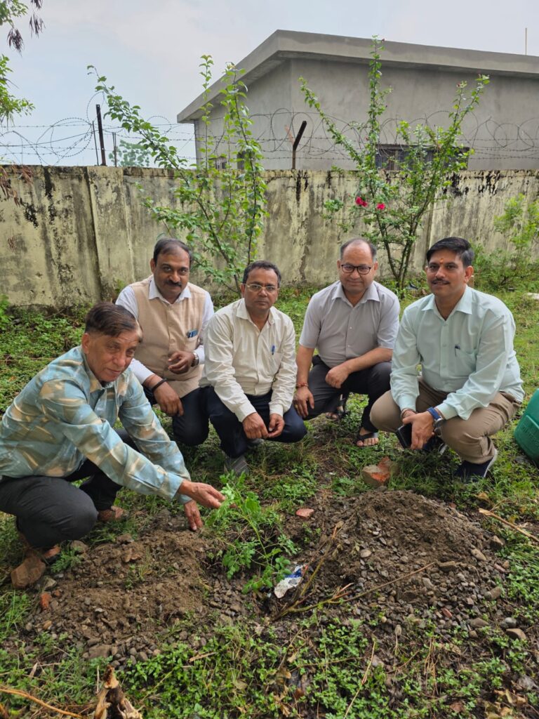 World Environment Day
